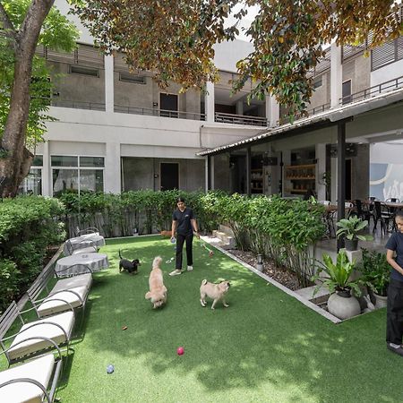 Ketawa Pet Friendly Hotel Chiang Mai Zewnętrze zdjęcie