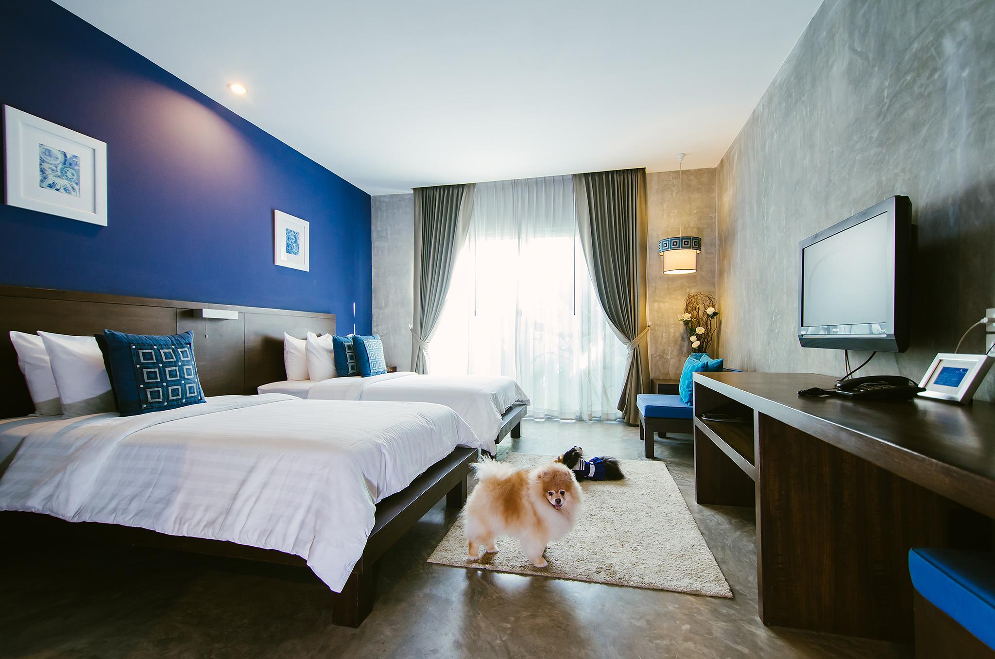 Ketawa Pet Friendly Hotel Chiang Mai Zewnętrze zdjęcie