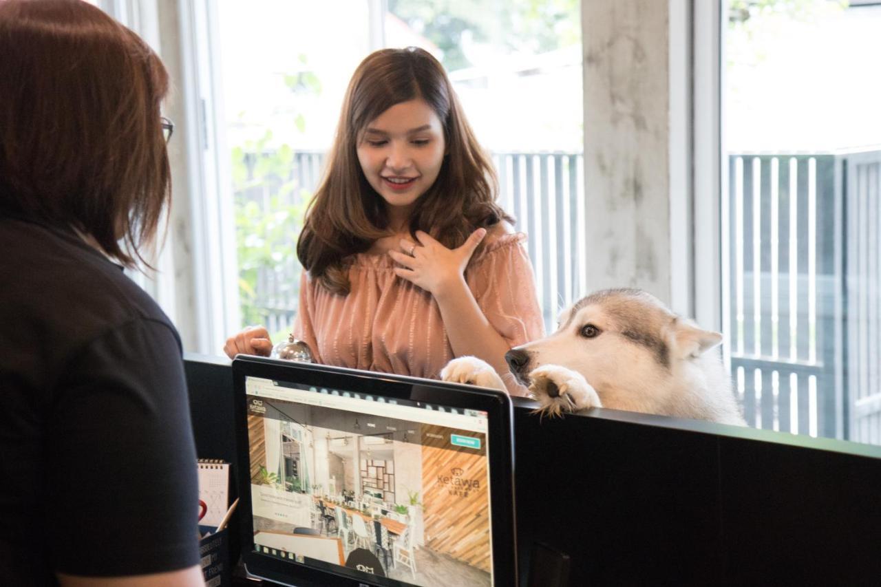 Ketawa Pet Friendly Hotel Chiang Mai Zewnętrze zdjęcie