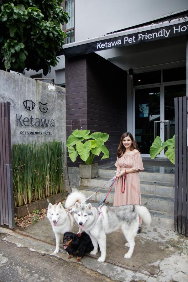 Ketawa Pet Friendly Hotel Chiang Mai Zewnętrze zdjęcie