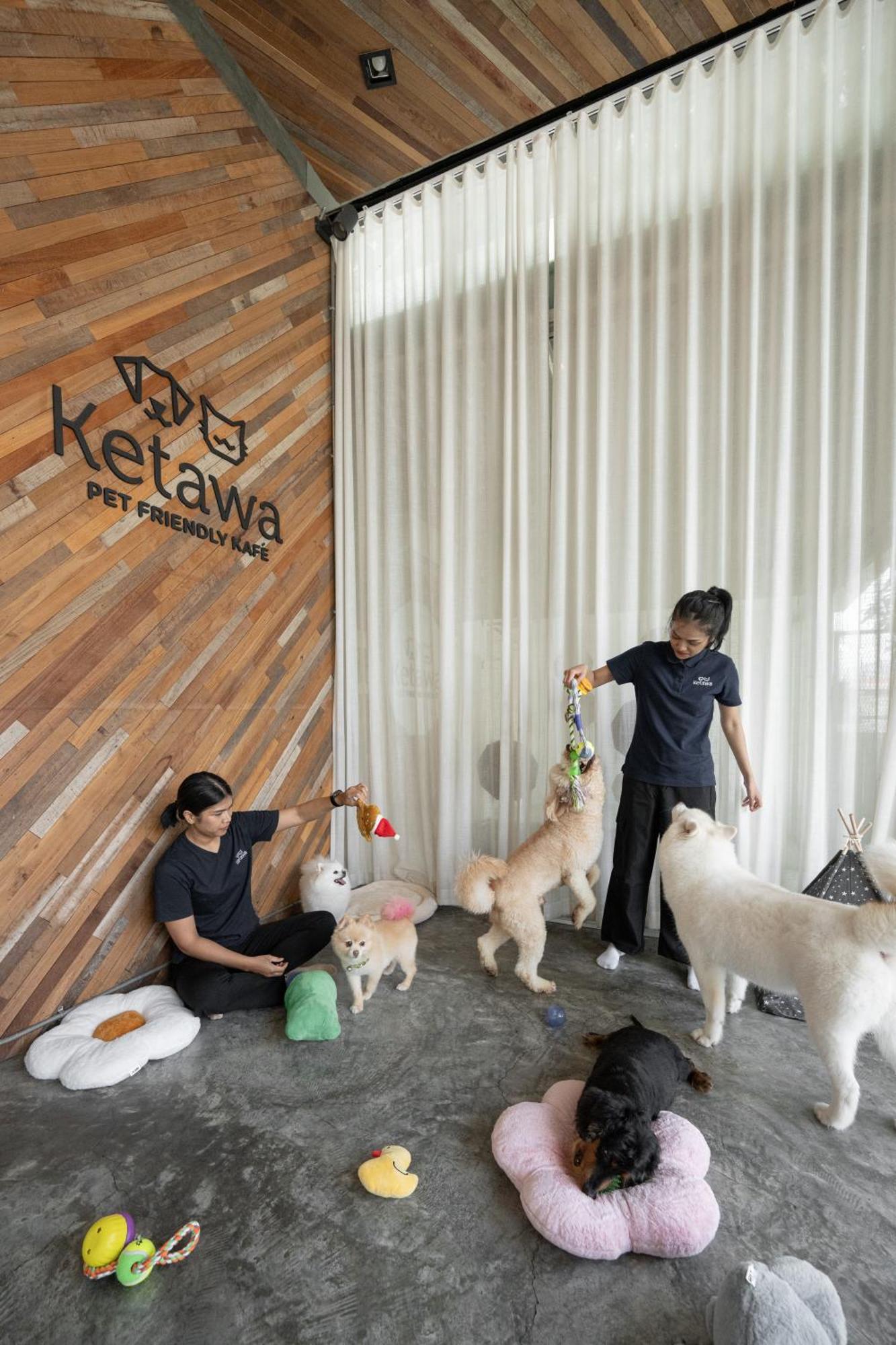 Ketawa Pet Friendly Hotel Chiang Mai Zewnętrze zdjęcie
