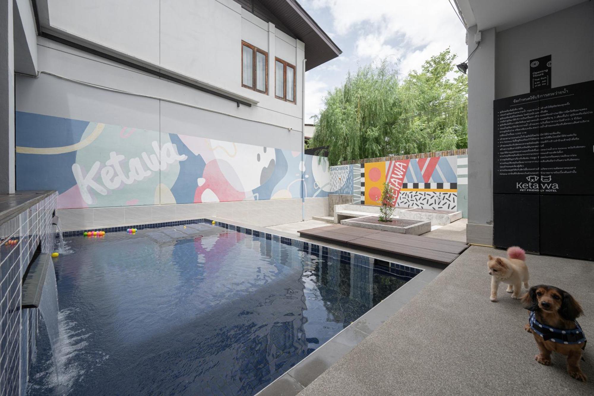 Ketawa Pet Friendly Hotel Chiang Mai Zewnętrze zdjęcie
