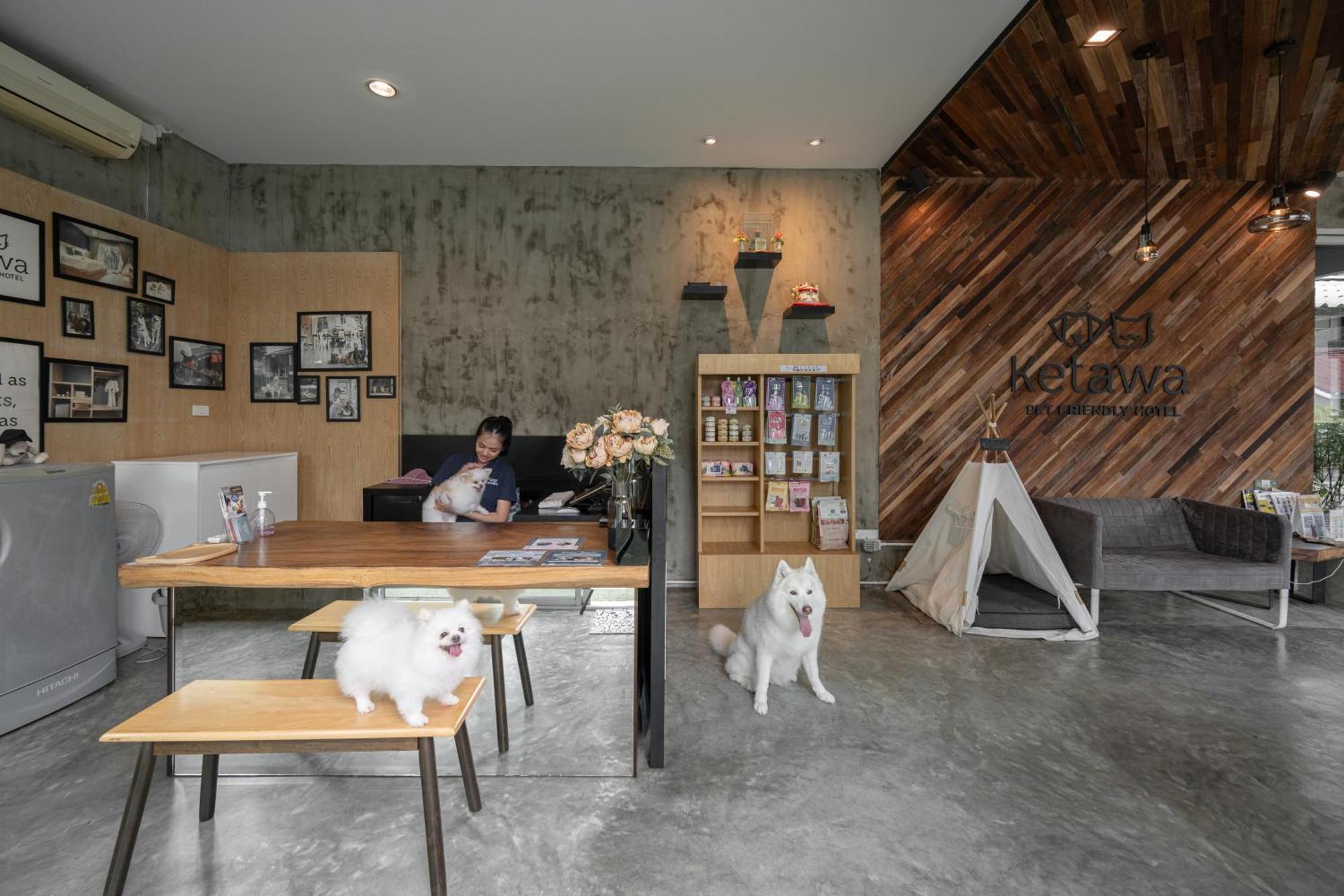 Ketawa Pet Friendly Hotel Chiang Mai Zewnętrze zdjęcie